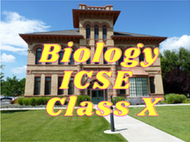 Biology (ICSE) - Class X